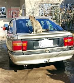 ئۆپڵ ڤێکترا